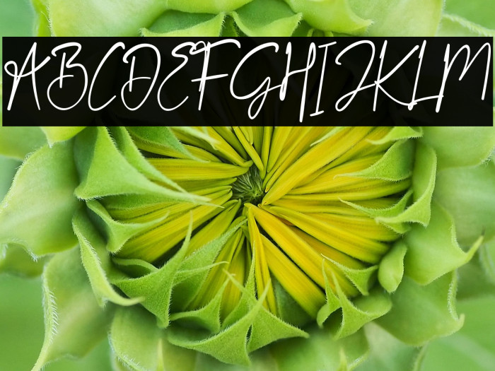 Streak Scratches Example 3