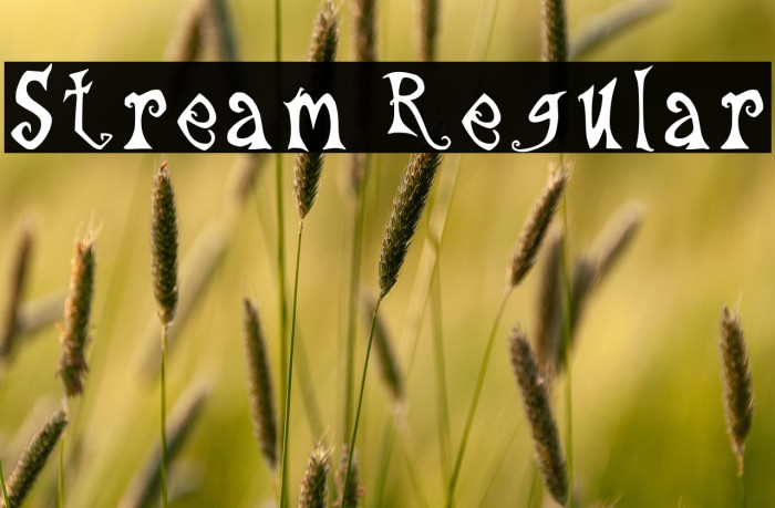 Stream Regular Example 2