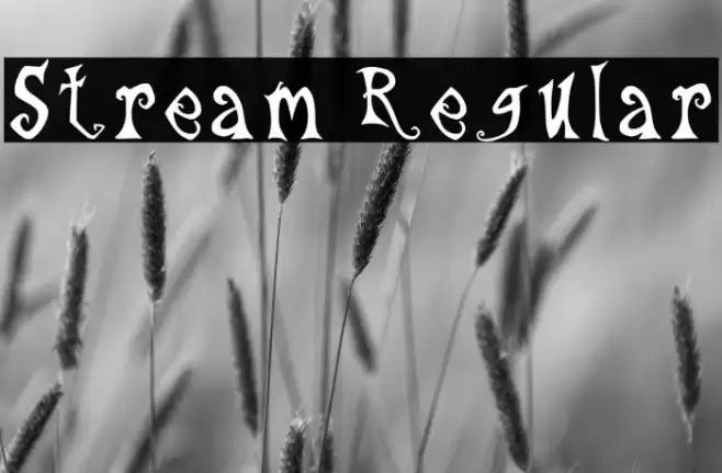 Stream Regular Font examples