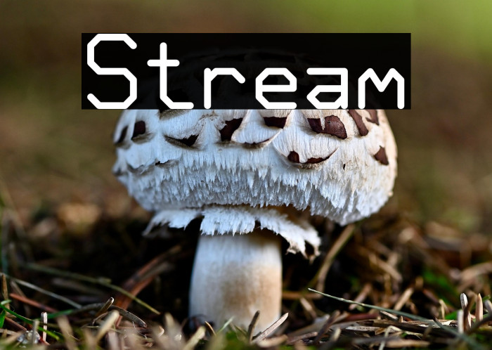 Stream Example 2