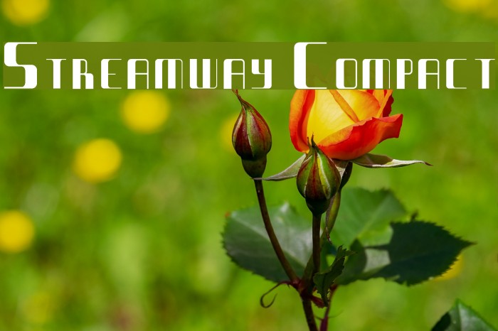Streamway Compact Fuentes examples