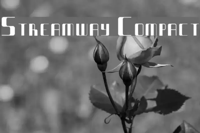 Streamway Compact Fuentes examples