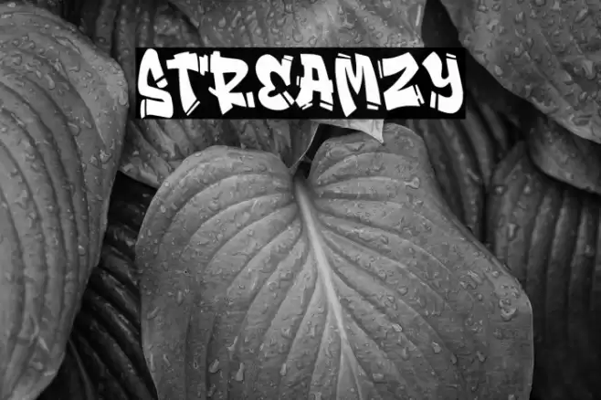 Streamzy Font examples