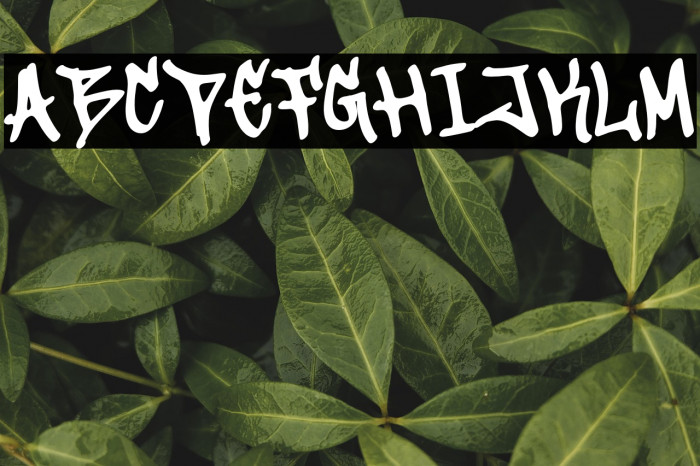 Streat Beat Example 2