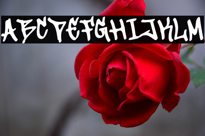 Streat Beat Example 3