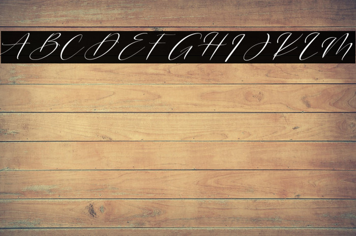 Streatline Example 1