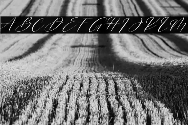 Streatline Font examples