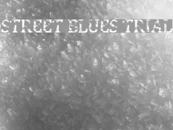Street Blues Trial Font examples