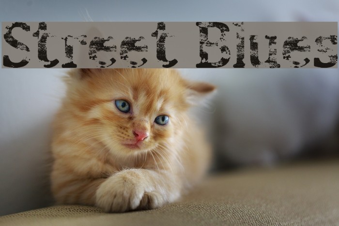 Street Blues Font examples