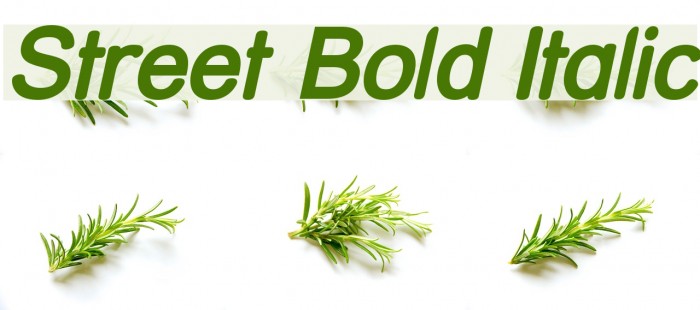 Street Bold Italic Font examples