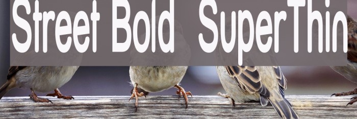 Street Bold SuperThin Font examples