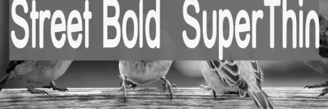 Street Bold  SuperThin Font examples