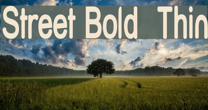 Street Bold Thin Font examples