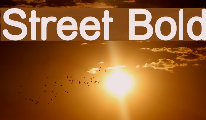 Street Bold Font examples