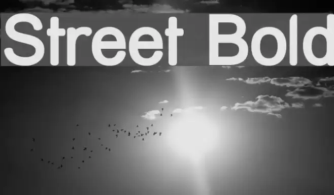 Street Bold  examples