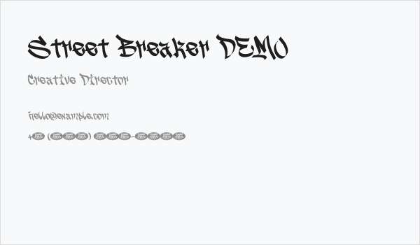 Street Breaker DEMO Business Card