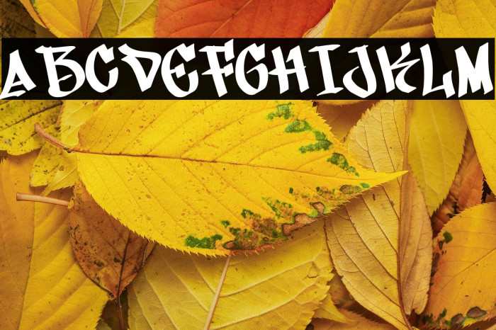 Street Bring 字体 examples