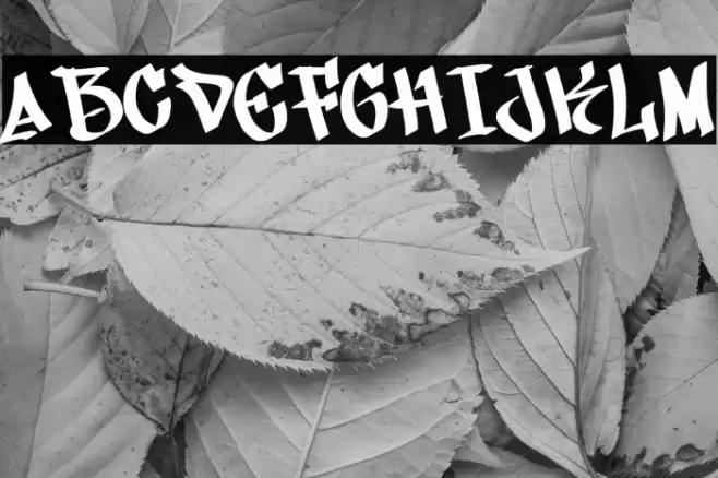 Street Bring Font examples