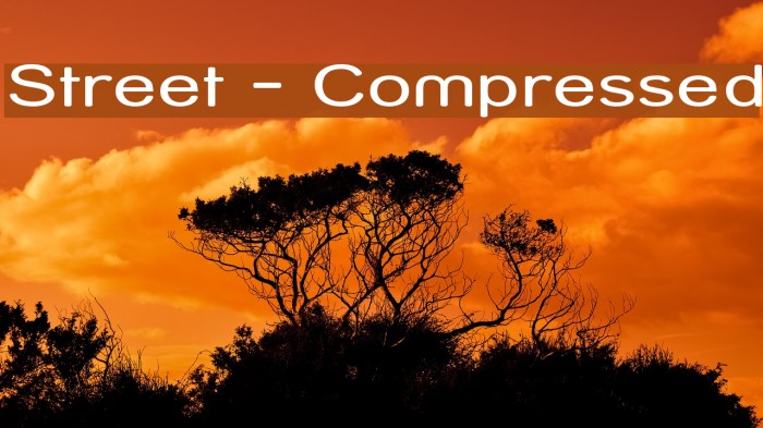 Street - Compressed Font examples