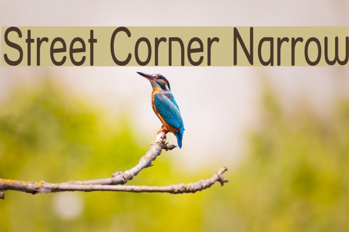 Street Corner Narrow Font examples