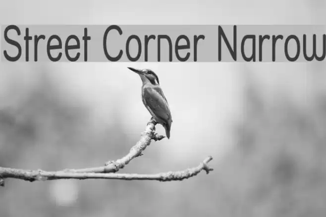 Street Corner Narrow フォント examples