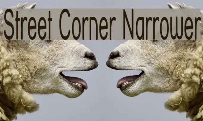 Street Corner Narrower Example 1
