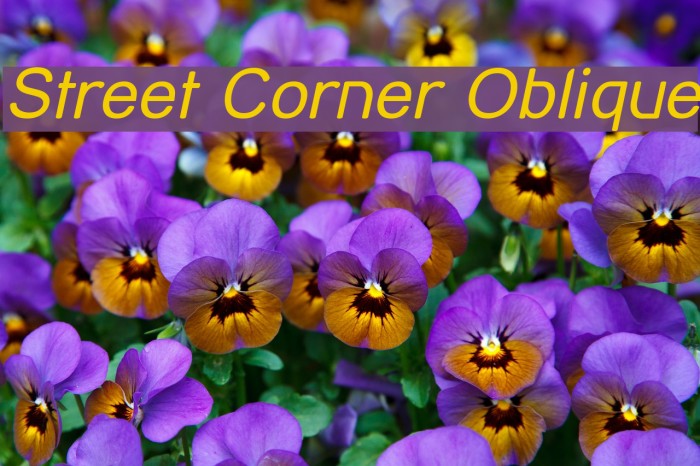 Street Corner Oblique Font examples
