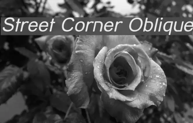 Street Corner Oblique Font examples