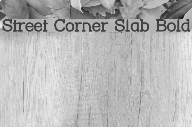 Street Corner Slab Bold Font examples