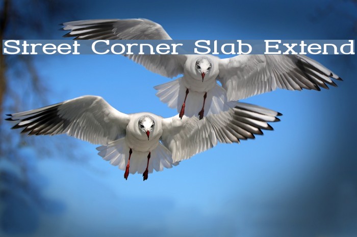 Street Corner Slab Extend Font examples