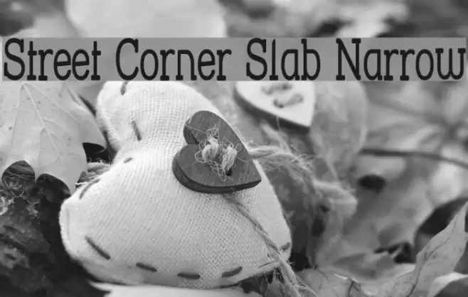 Street Corner Slab Narrow Font examples
