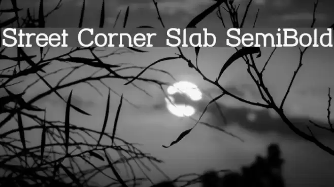 Street Corner Slab SemiBold Font examples