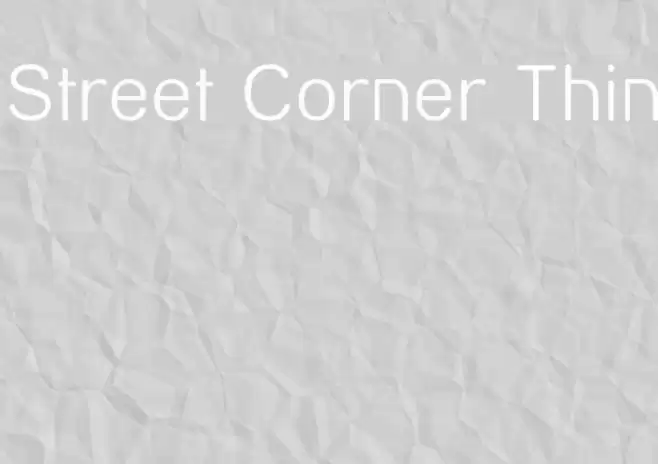 Street Corner Thin Polices examples
