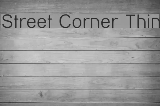 Street Corner Thin Polices examples