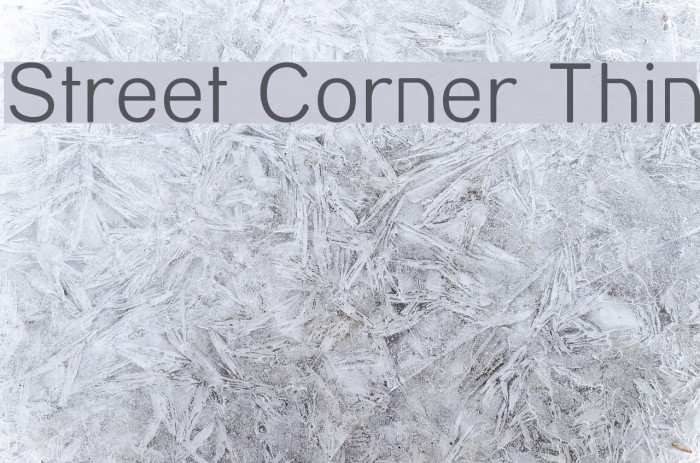 Street Corner Thin Font examples