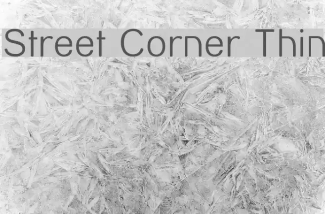 Street Corner Thin Polices examples
