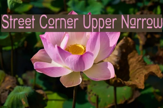 Street Corner Upper Narrow Example 3