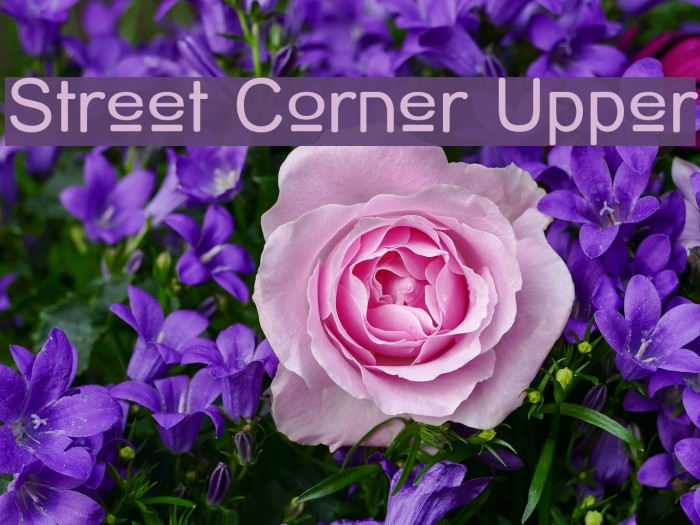 Street Corner Upper Font examples
