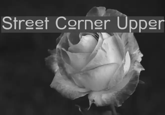 Street Corner Upper Font examples