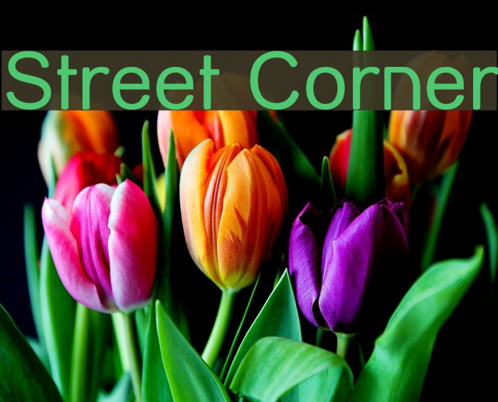 Street Corner Font examples