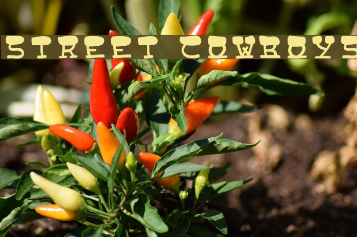 Street Cowboys Example 1