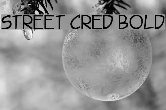 Street Cred Bold Font examples