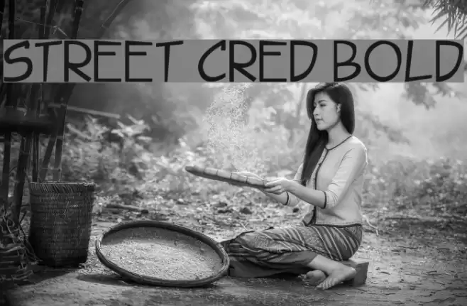 Street Cred Bold Font examples