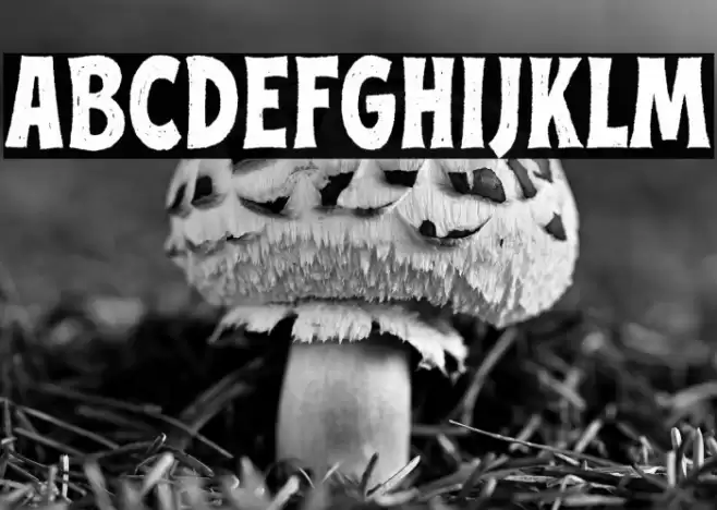 Street Culture Regular Font examples