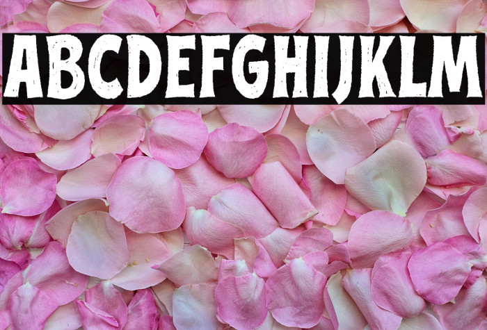 Street Culture Regular Example 2