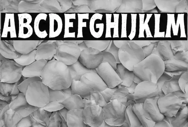 Street Culture Regular Font examples