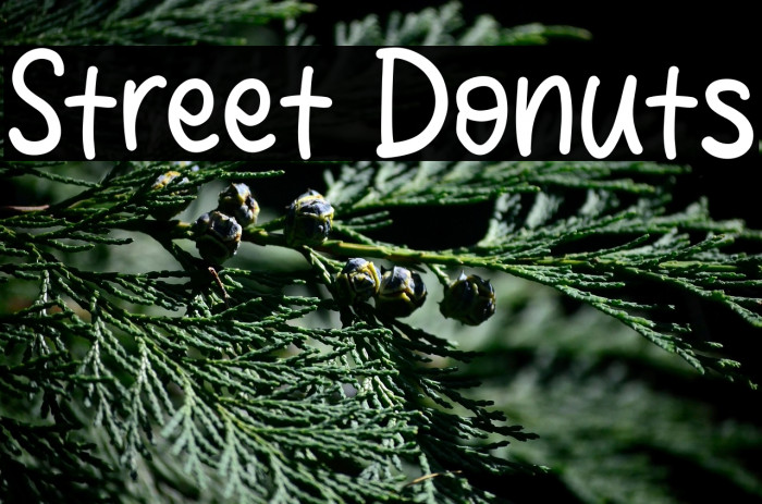 Street Donuts Example 3