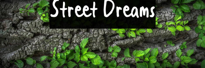 Street Dreams Example 3