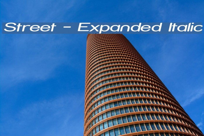 Street - Expanded Italic Font examples