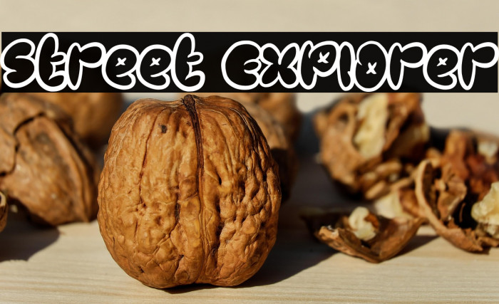 Street Explorer Example 2